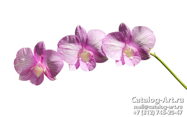 картинки для фотопечати на потолках, идеи, фото, образцы - Потолки с фотопечатью - Розовые орхидеи 3